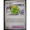 OUTIL BAIE BABIRI DRESSEUR 163/191 Carte Pokémon CARD FR Neuve