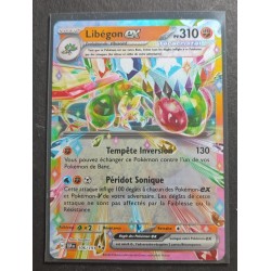 LIBEGON EX 310pv 106/191...