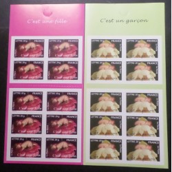 FRANCE 2005 LOT 2 CARNETS...