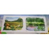 FRANCE 2009 CARNET BC303 AUTOADHESIFS TIMBRES FLORE REGIONS neuf** FLEURS MNH