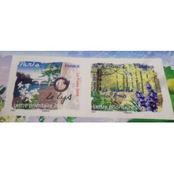 copy of FRANCE 2009 CARNET BC303 AUTOADHESIFS TIMBRES FLORE REGIONS neuf** FLEURS MNH