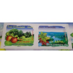 copy of FRANCE 2009 CARNET BC303 AUTOADHESIFS TIMBRES FLORE REGIONS neuf** FLEURS MNH