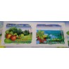 copy of FRANCE 2009 CARNET BC303 AUTOADHESIFS TIMBRES FLORE REGIONS neuf** FLEURS MNH
