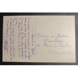 CARTE POSTALE CPA FRANCE BONNE ANNEE FEMMES CHIEN FLEURS OLD CARD 0046