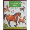 LIVRE ILLUSTRE LES CHEVAUX QUESTIONS REPONSES 6/9 ANS D'OCCASION