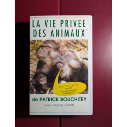 copy of BERNARD ET BIANCA...