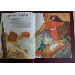 copy of LIVRE LES SEPT ET LA DEESSE D OR CLAN DES SEPT d occasion