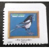FRANCE 2025 TIMBRE AUTOADHESIF OISEAU PIC BAVARDE MELODIE neuf** MNH BIRD